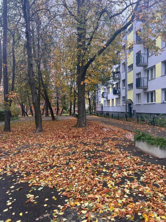 Yellow Apartment Airport Galeria Mokotow Netflix Varsóvia Exterior foto
